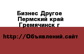 Бизнес Другое. Пермский край,Гремячинск г.